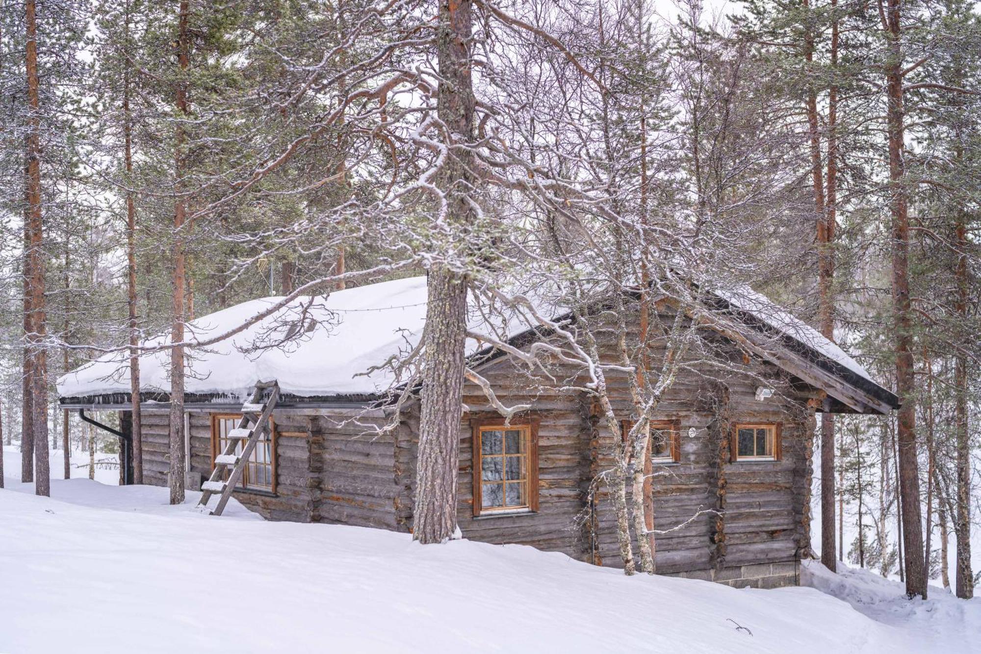 סאריסלקה Kuukkeli Log Houses Aurora Cabin - Jaspis מראה חיצוני תמונה